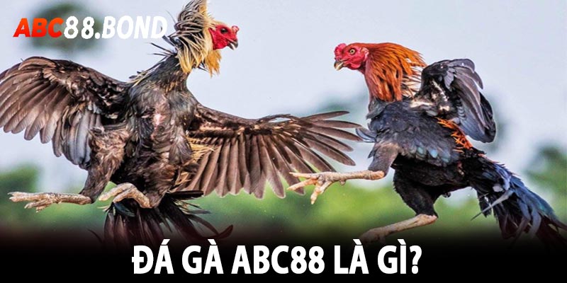 Đá gà ABC88 là gì?